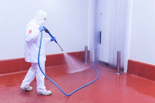 Wolf Creek, UT  Pressure Washing Services Company